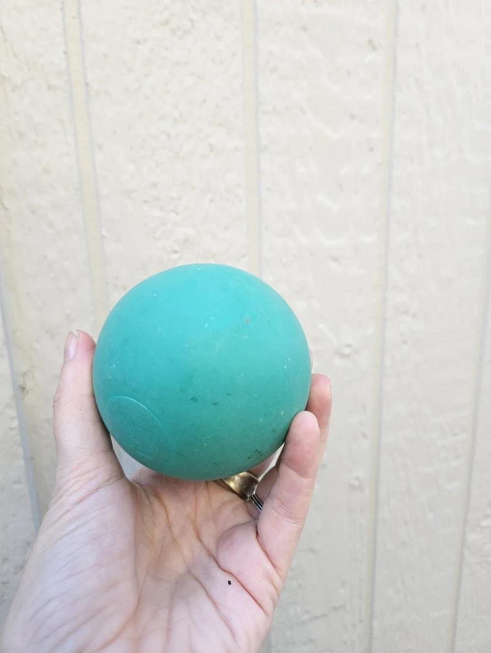 Vintage Discovery Zone Ball Pit Ball Rare